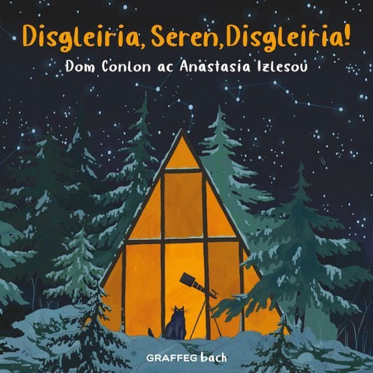 Cover image for Disgleiria, Seren, Disgleiria, isbn: 9781802583939