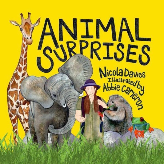 Cover image for Animal Surprises, isbn: 9781802584028