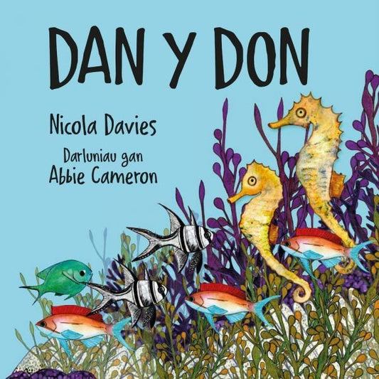 Cover image for Dan y Don, isbn: 9781802584271