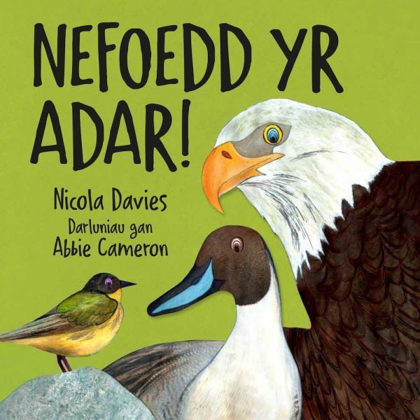Cover image for Nefoedd yr Adar!, isbn: 9781802584318