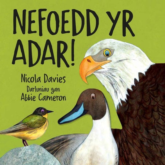 Cover image for Nefoedd yr Adar!, isbn: 9781802584325
