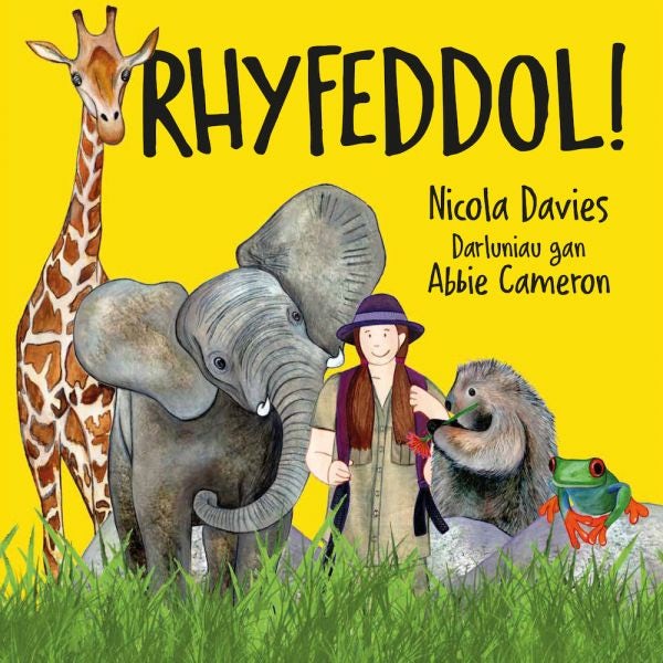 Cover image for Rhyfeddol!, isbn: 9781802584332