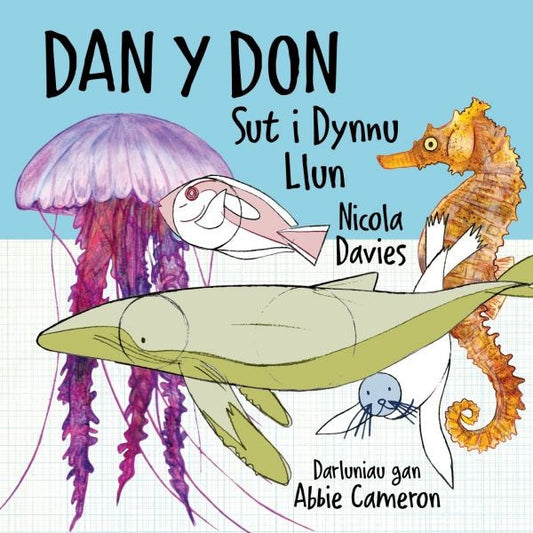 Cover image for Sut i Dynnu Llun: Dan y Don, isbn: 9781802584646