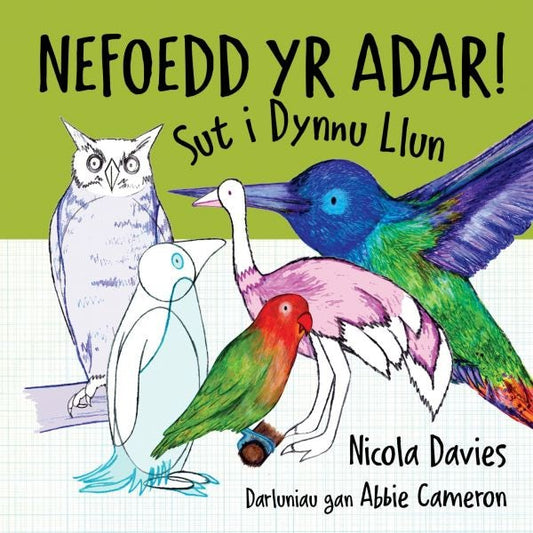 Cover image for Sut i Dynnu Llun: Nefoedd yr Adar!, isbn: 9781802584653