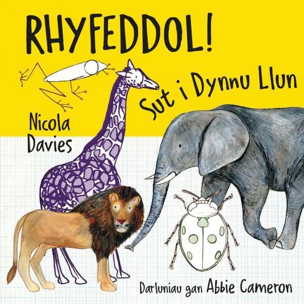 Cover image for Rhyfeddol! Sut i Dynnu Llun, isbn: 9781802584691