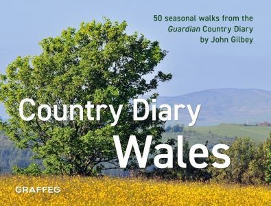 Cover image for A Country Diary in Wales, isbn: 9781802584776