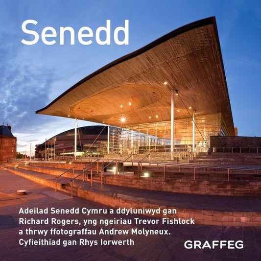 Cover image for Senedd (Cymraeg), isbn: 9781802584844
