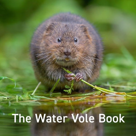 Cover image for The Water Vole Book, isbn: 9781802584851