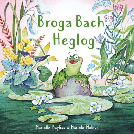 Cover image for Broga Bach Heglog, isbn: 9781802584905