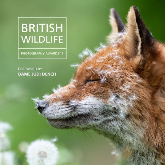 Cover image for British Wildlife Photography Awards 11, isbn: 9781802584967