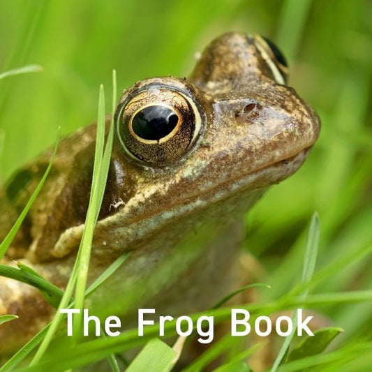 Cover image for The Frog Book, isbn: 9781802585414