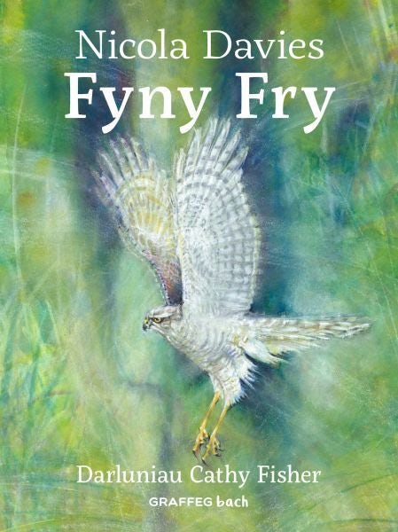 Cover image for Fyny Fry, isbn: 9781802585841