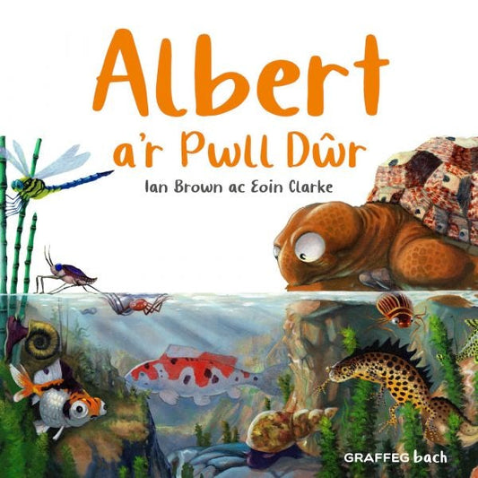 Cover image for Albert a’r Pwll Dŵr, isbn: 9781802585957