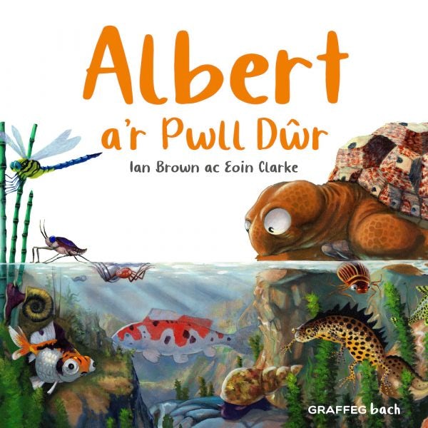 Cover image for Albert a’r Pwll Dŵr, isbn: 9781802585964