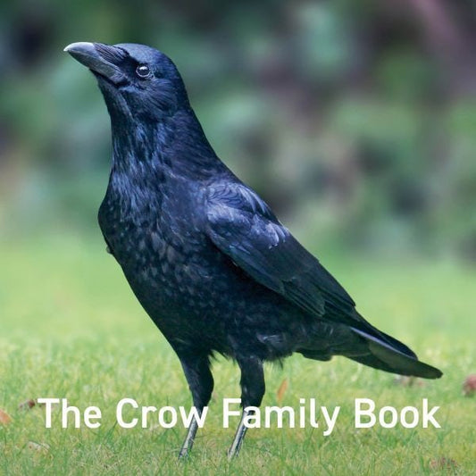 Cover image for The Crow Family Book, isbn: 9781802586299