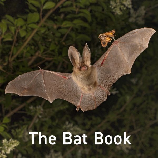 Cover image for The Bat Book, isbn: 9781802587470