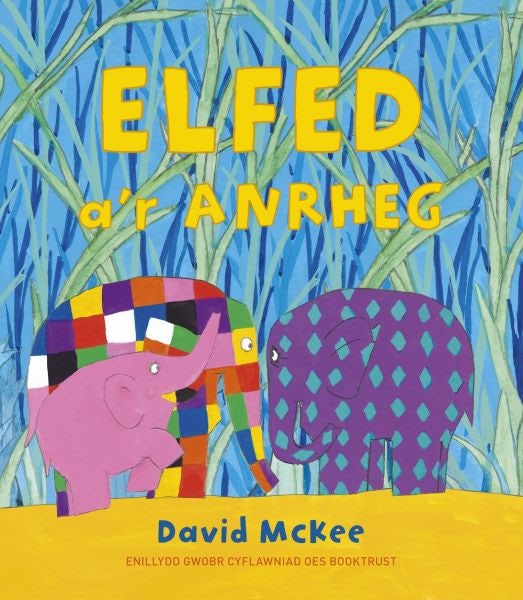 Cover image for Darllen yn Well: Elfed a'r Anrheg, isbn: 9781802587517