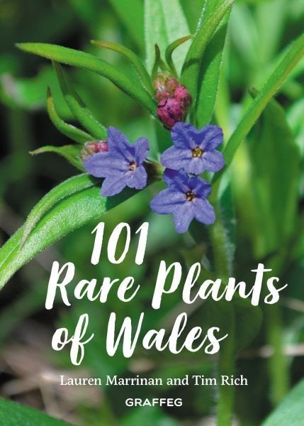 Cover image for 101 Rare Plants of Wales, isbn: 9781802588217