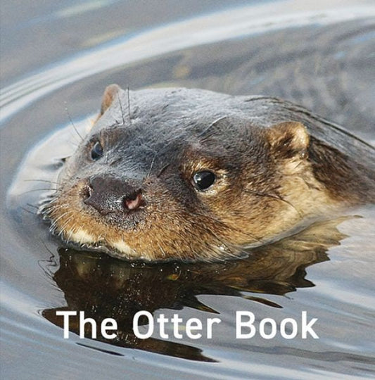 Cover image for The Otter Book, isbn: 9781802589597