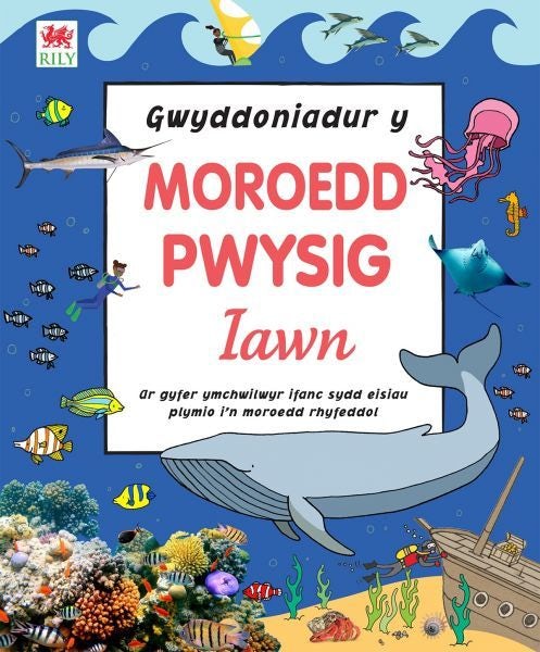 Cover image for Gwyddoniadur y Moroedd Pwysig Iawn, isbn: 9781804160503