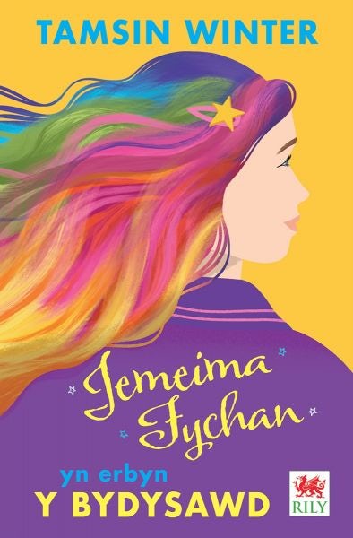 Cover image for Darllen yn Well: Jemeima Fychan yn Erbyn y Bydysawd, isbn: 9781804163313