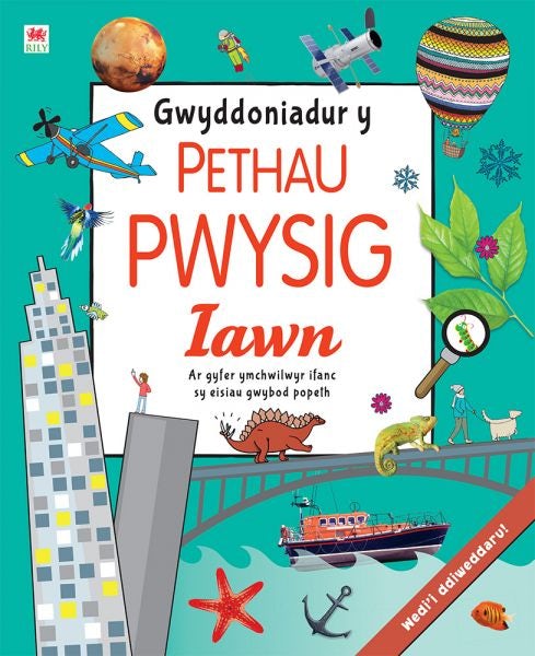 Cover image for Gwyddoniadur y Pethau Pwysig Iawn, isbn: 9781804163597