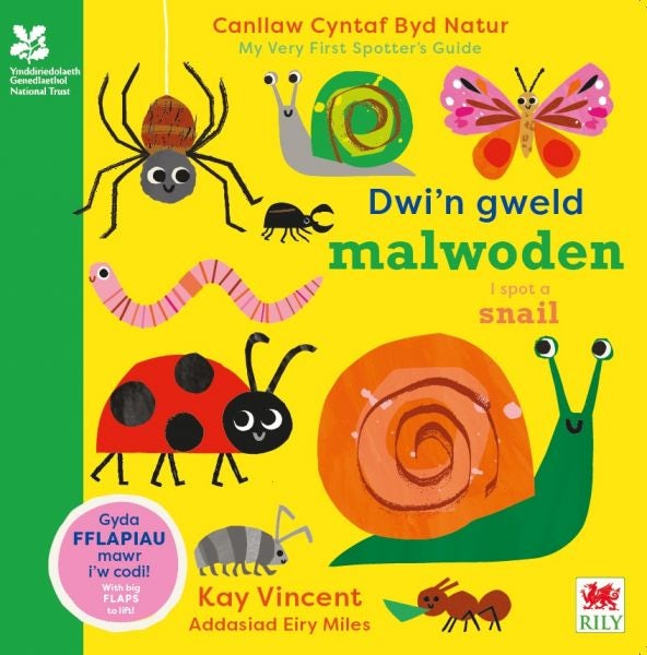 Cover image for Dwi'n Gweld Malwoden / I Spot a Snail, isbn: 9781804163917