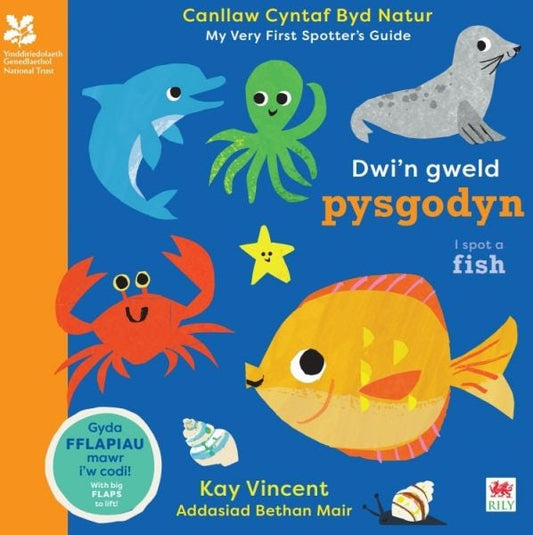 Cover image for Dwi'n Gweld Pysgodyn / I Spot a Fish, isbn: 9781804164518