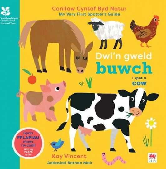 Cover image for Dwi'n Gweld Buwch / I spot a Cow, isbn: 9781804165218