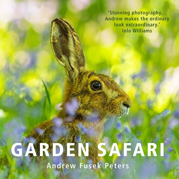 Cover image for Garden Safari, isbn: 9781805950165
