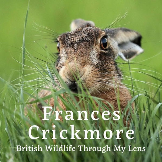 Cover image for Frances Crickmore - British Wildlife Through My Lens, isbn: 9781805951551