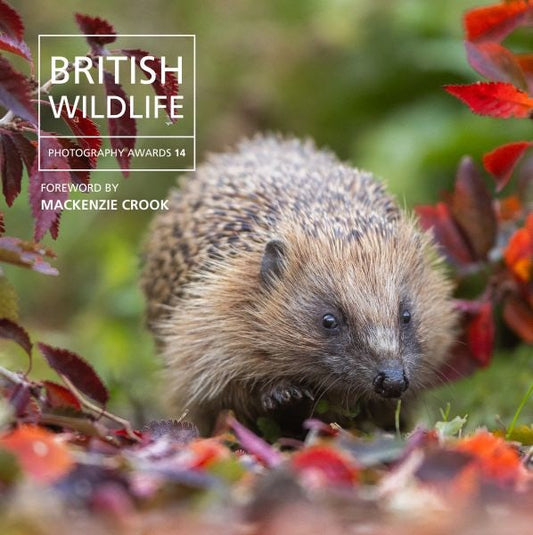 Cover image for British Wildlife Photography Awards 14, isbn: 9781805952145