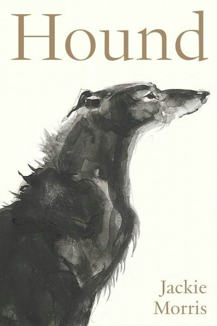 Cover image for Accordion Book: Hound, isbn: 9781805952879