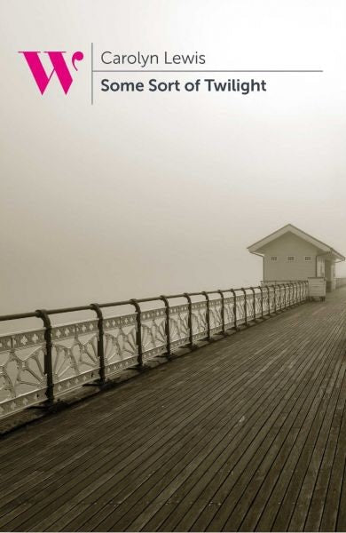 Cover image for Some Sort of Twilight, isbn: 9781838004323