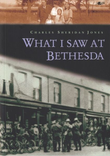 Cover image for What I Saw at Bethesda, isbn: 9781843233244