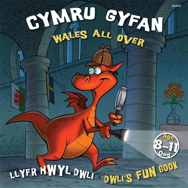 Cover image for Llyfr Hwyl Dwli/ Dwli's Fun Book: Cymru Gyfan/ Wales All Over, isbn: 9781843237983
