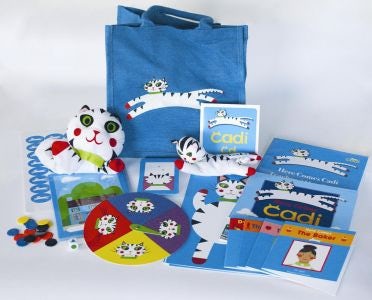 Cover image for Cadi Bag, The, isbn: 9781843238683