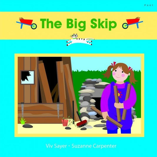 Cover image for Cadi: The Big Skip, isbn: 9781843239529