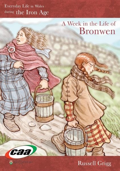 Cover image for Everyday Life in Wales in the Iron Age, isbn: 9781845213381