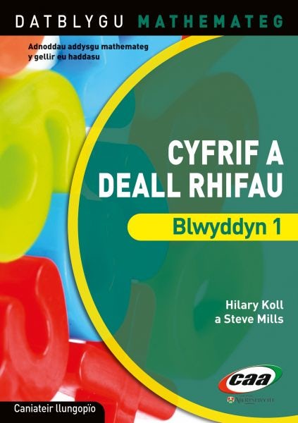 Cover image for Datblygu Mathemateg: Cyfrif a Deall Rhifau Blwyddyn 1, isbn: 9781845213749