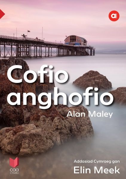 Cover image for Cyfres Amdani: Cofio Anghofio, isbn: 9781845216825