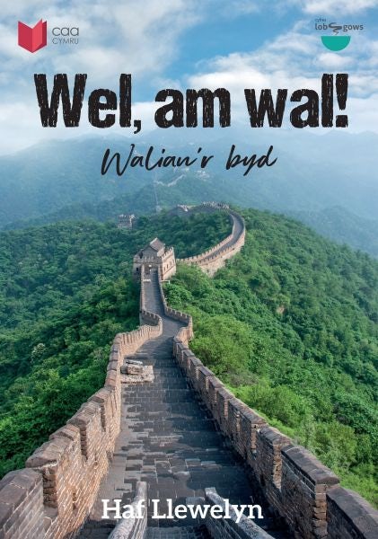 Cover image for Cyfres Lobsgows: Wel, am Wal! - Waliau'r Byd, isbn: 9781845216955