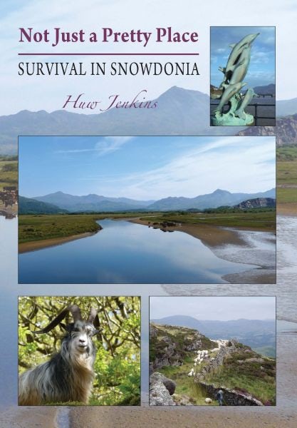 Cover image for Not Just a Pretty Place - Survival in Snowdonia, isbn: 9781845241513