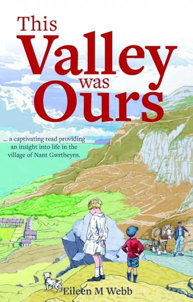 Cover image for This Valley was Ours, isbn: 9781845242268