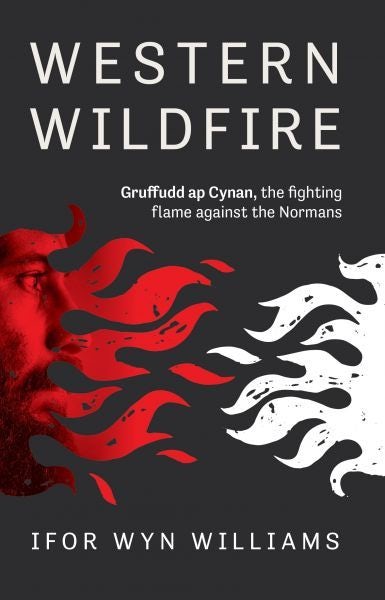 Cover image for Western Wildfire, isbn: 9781845244552