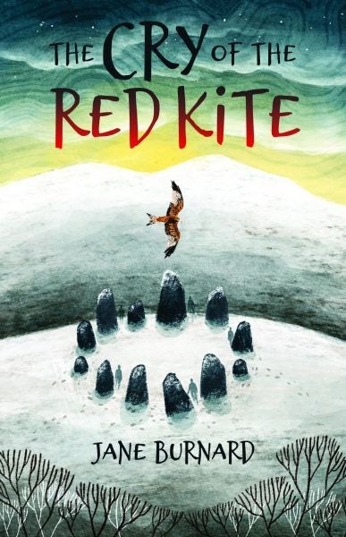 Cover image for The Cry of the Red Kite, isbn: 9781845245047