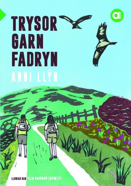 Cover image for Cyfres Amdani: Trysor Garn Fadryn, isbn: 9781845245238