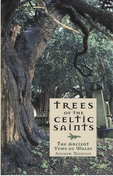 Cover image for Trees of the Celtic Saints  The Ancient Yews of Wales, isbn: 9781845271732