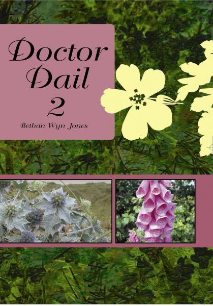 Cover image for Doctor Dail 2, isbn: 9781845272012