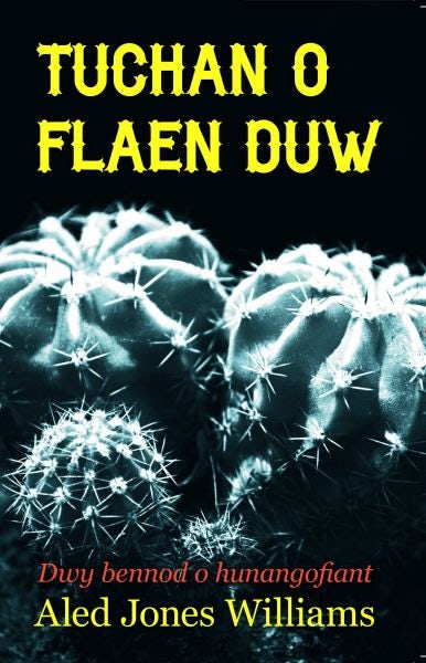 Cover image for Tuchan o Flaen Duw, isbn: 9781845274061